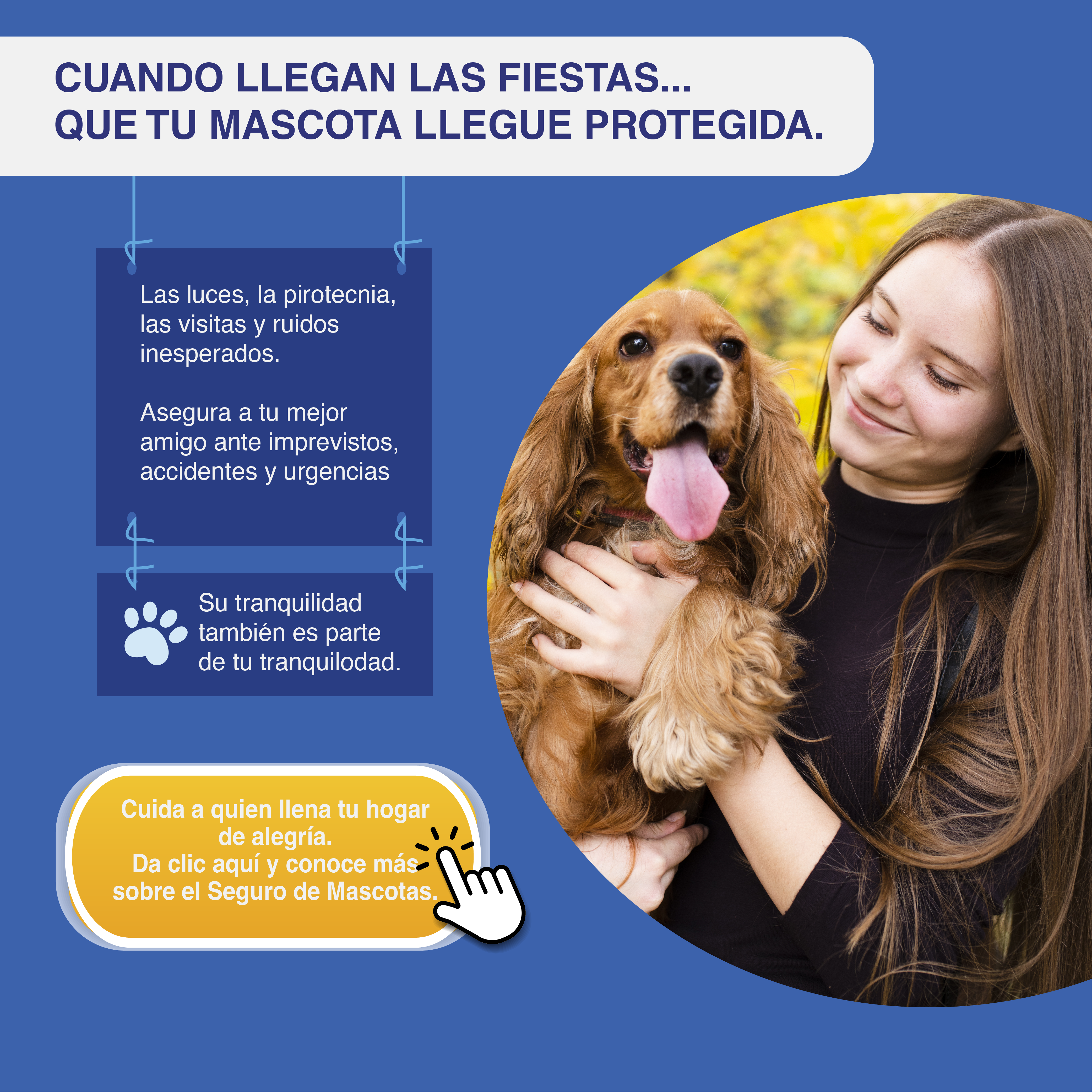 Seguro-Mascota-Banner